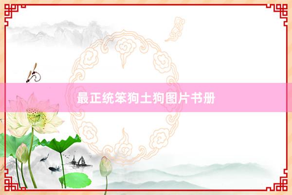最正统笨狗土狗图片书册